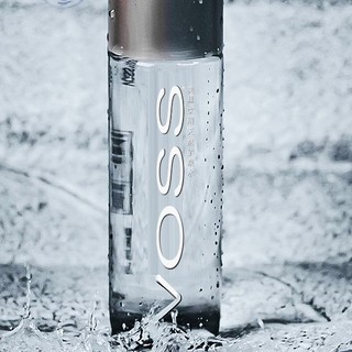 VOSS 芙丝 饮用天然矿泉水 500ml*12瓶