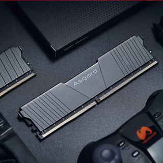 Asgard 阿斯加特 洛极 T2 DDR4 3200MHz 台式机内存 马甲条 黑色 16GB