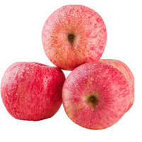 聚牛果园 山东红富士苹果
