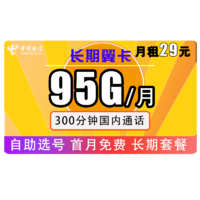 CHINA TELECOM 中国电信 长期翼卡 29元/月（95G全国+300分钟）