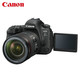  Canon 佳能 EOS 6D Mark II 6D2 全画幅单反相机（EF 24-105mm f/4L IS II USM套机）官方标配　