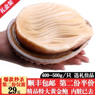 沃派 黄金鲍 特大带壳螺肉 400-500g 1只  口感鲜如鲍鱼