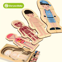 GoryeoBaby儿童玩具木制多层拼图嵌板男女孩人体结构拼图儿童启蒙早教玩具 G-男人体结构图