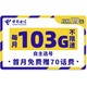 CHINA TELECOM 中国电信 海圣卡 29/月（103G流量+300分钟通话）