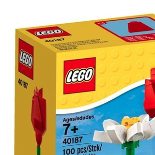 LEGO 乐高 Creator创意百变高手系列 40187 花朵