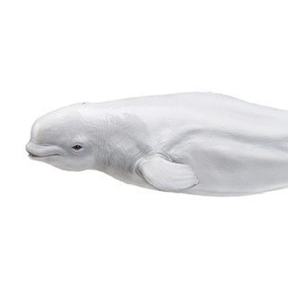 PNSO 白鲸海力动物园成长陪伴模型15