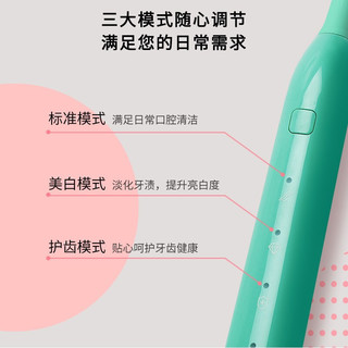 联想（Lenovo）声波电动牙刷T1软毛成人男女士全自动可充电式震动美白去渍护龈防水超声波电动牙刷 清新绿(刷头*2)