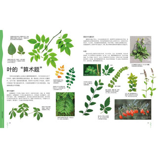 《中国儿童植物百科全书》（精装）