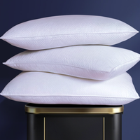 富安娜 恬心枕 枕头 74*48cm 白色