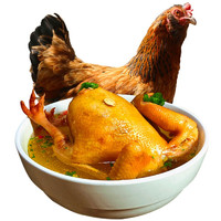 百年栗园 买一只送一只 百年栗园 北京油鸡土鸡老母鸡生鲜鸡肉杀前约3斤/只 散养柴鸡500天走地鸡