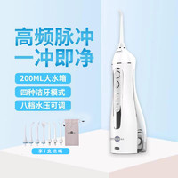 prooral 博皓 便携式电动冲牙器洗牙器 口腔清洁水牙线 5025款