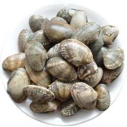 连云港海鲜新鲜花甲野生贝类大花甲5斤