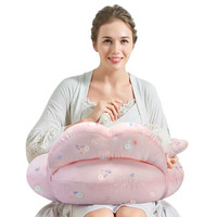 JOYOURBABY 佳韵宝 JAD01006 哺乳枕头 桃靥芳菲