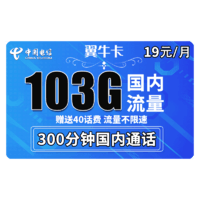 中国电信 翼牛卡 19元/月（73G通用流量 30G定向流量 300分钟国内通话）