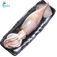 鲜多邦 渤海湾冰鲜鱿鱼约5-8条  散装1500g 火锅烧烤食材 冻化鲜海鲜水产