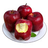 APPLES GOT RED 苹果红了 天水花牛苹果 4.6kg-5kg