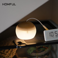 HOMFUL 皓风 W01011 户外可充电LED户外露营灯 锂电池