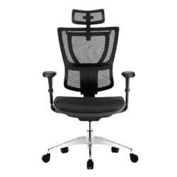 Ergonor 保友办公家具 优B 人体工学电脑椅 黑色 高配版