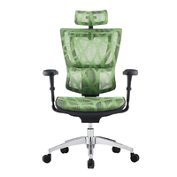 Ergonor 保友办公家具 优B 人体工学电脑椅 绿色 高配版