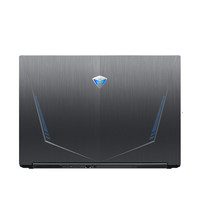 MACHENIKE 机械师 F117-V 15.6英寸 游戏本 黑色 (酷睿i7-10750H、GTX 1660Ti 6G、16GB、512GB SSD+1TB HDD、1080P、IPS、144Hz)