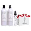 THE LAUNDRESS 婴儿洗衣液 1L*2瓶+60ml