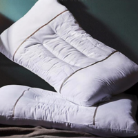 BEYOND 博洋 家纺决明子枕头荞麦枕芯单人花草枕一对拍2只 单只装45*70cm