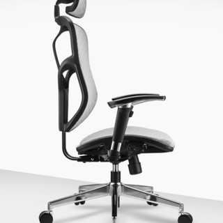 Ergoup 有谱 SCJ 人体工学电脑椅+双背+头枕 黑框灰网