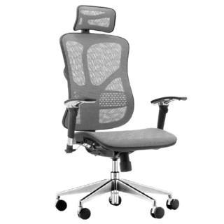 Ergoup 有谱 SCJ 人体工学电脑椅+双背+头枕 黑框灰网