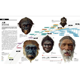 《DK大历史·从宇宙大爆炸到我们人类的未来：138亿年的非凡旅程》（精装）