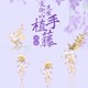 苏博“紫藤”系列—480岁的苏州博物馆紫藤，变身爆款文创产品