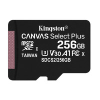 Kingston 金士顿 SDC10G2 TF卡  256GB