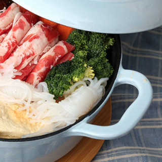 Fissler 菲仕乐 食色系列 汤锅(20cm、铸铁、蓝色)