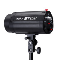 Godox 神牛 ST250W 闪光灯 通用型 黑色