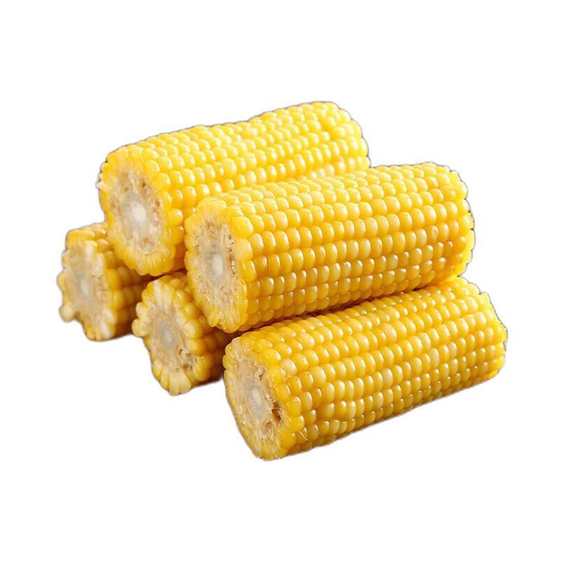 华田禾邦 糯玉米段 10支 1.4-1.6kg