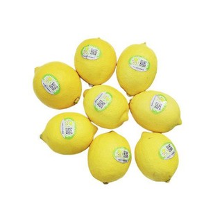 润宁 黄皮柠檬 单果100-200g 1.5kg