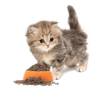 NOURSE 卫仕 膳食平衡系列 鱼肉味幼猫猫粮 1.8kg*3袋
