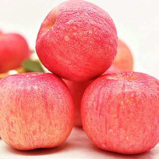 luochuanapple 洛川苹果 红富士苹果 单果85-90mm 4.75kg-5kg 礼盒装