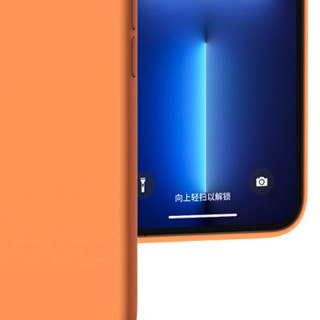 Greyes 观悦 iPhone 13 Pro Max 液态硅胶手机壳 金盏花色