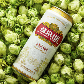 YANJING BEER 燕京啤酒 8度 U8 500ml*12听