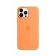 Apple 苹果 iPhone 13 Pro Max 硅胶手机壳 金盏花色