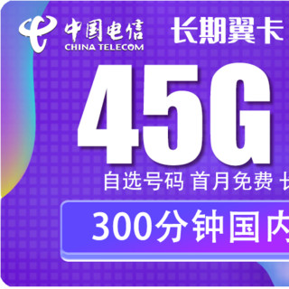 CHINA TELECOM 中国电信 5G长期翼卡 9元/月