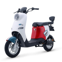 LUYUAN 绿源 ZOO 电动自行车 TDT2151Z 48V24Ah锂电池 雪山白/品红