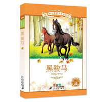 《新课标小学语文阅读丛书·黑骏马》（彩绘注音版）