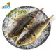 PLUS会员：ZHONGYANG FISH WORLD 中洋鱼天下 河豚鱼 150-200g