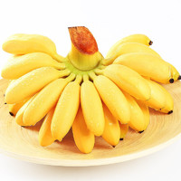 六尚 广西香蕉小米蕉 5斤