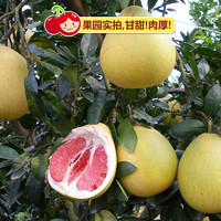 康橘源   现摘现发红心蜜柚    4~4.5斤