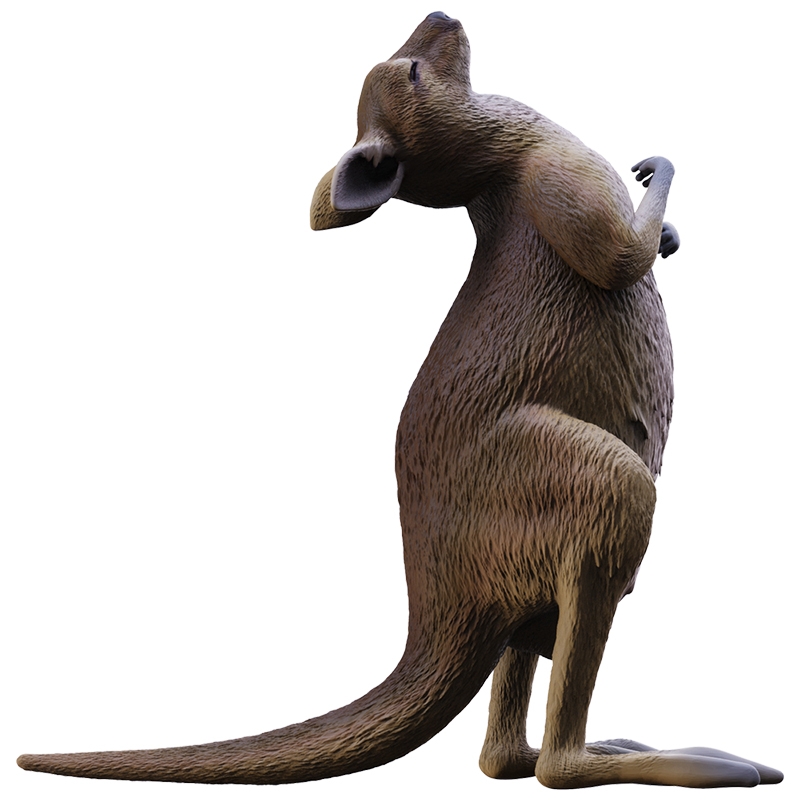 网红搞怪表情包 袋鼠摇手手办