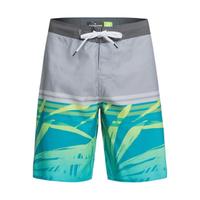 Quiksilver EVERYDAY TROPICS 20 男子冲浪短裤 TW_EQYBS04385
