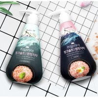 BAMBOO SALT 竹盐 喜马拉雅粉盐派缤牙膏 285g