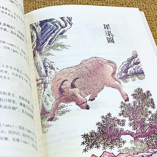 《图解山海经》（套装共4册）